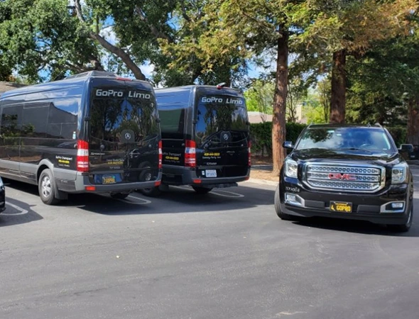 Competitive Pricing for Corporate Travel Services